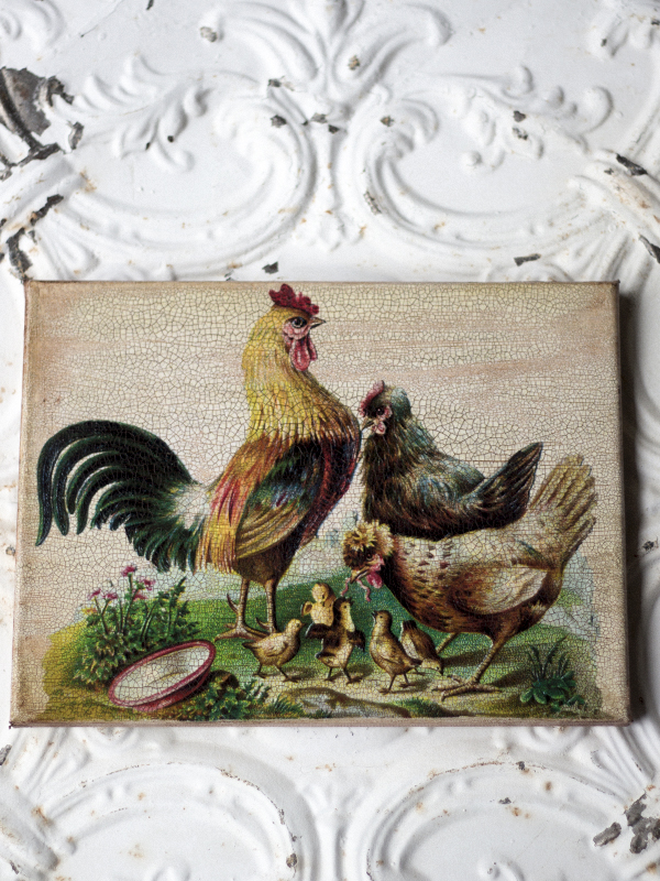 French Rooster and Family 8 by 10-inch Decoupage Canvas Art