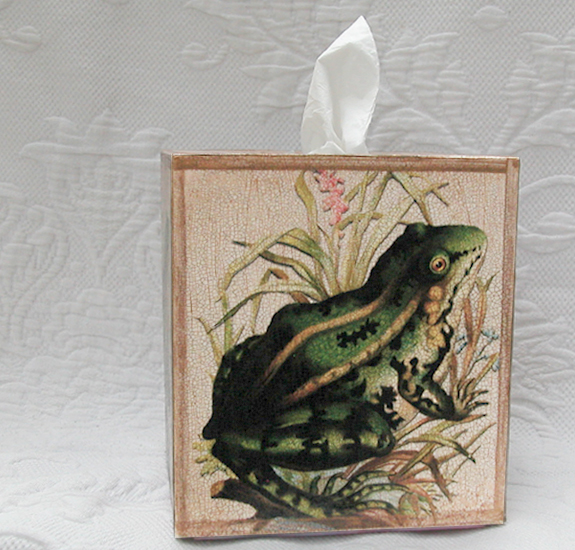 Frog Tissue Box Cover